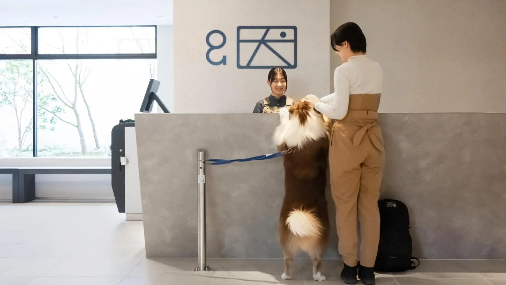 Hotel Anddoggy Kyoto Nijo Japan