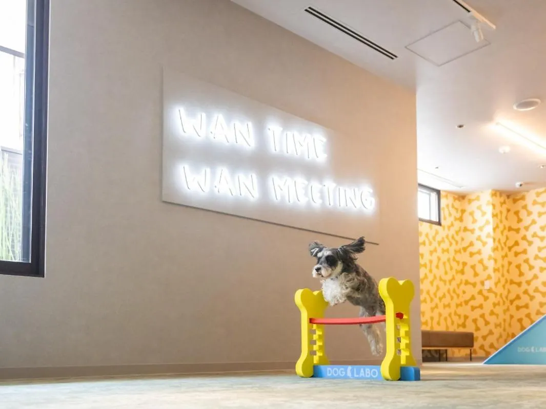 Hotel Anddoggy Kyoto Nijo 3*,  Japan