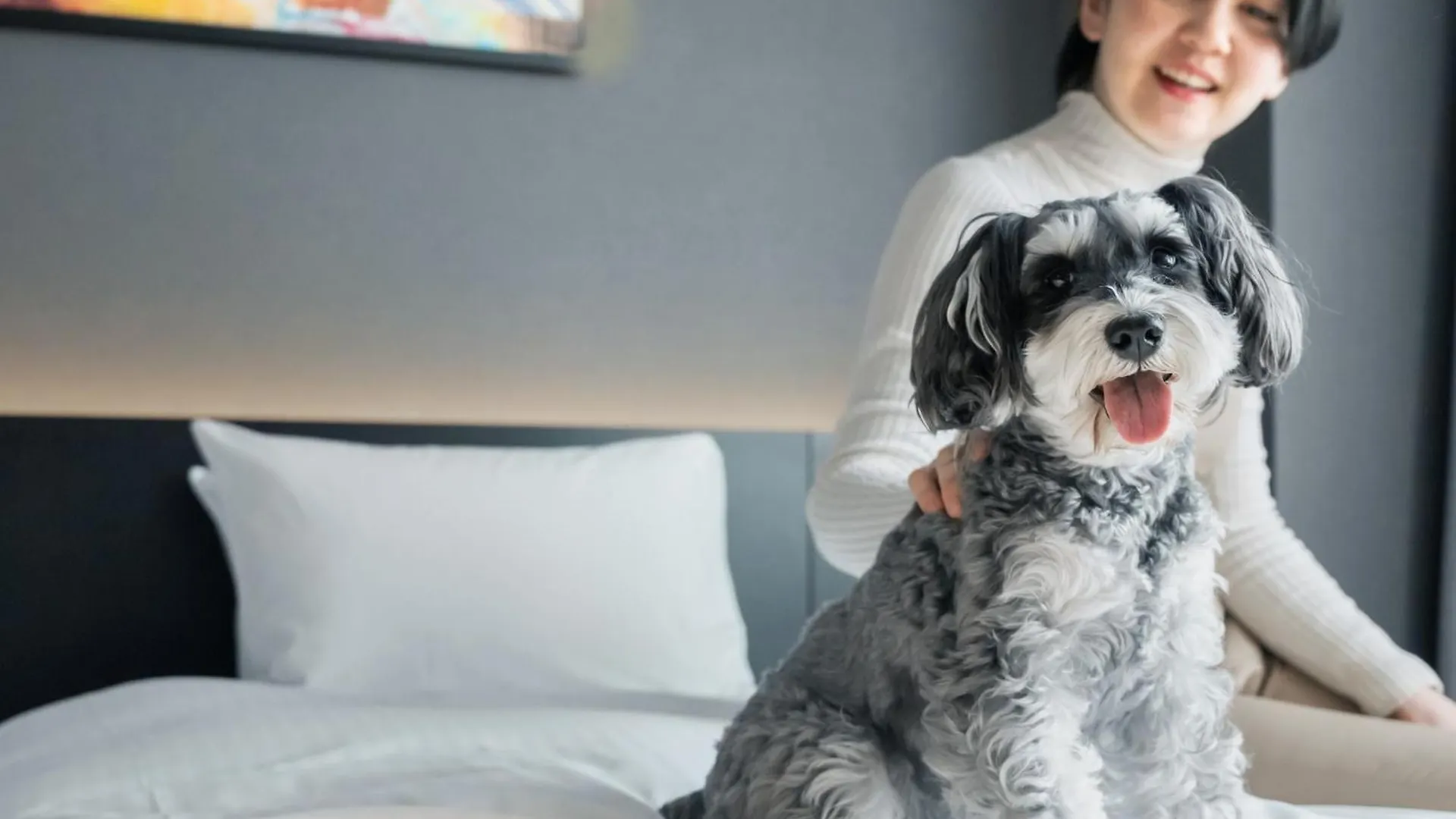 Hotel Anddoggy Kyoto Nijo