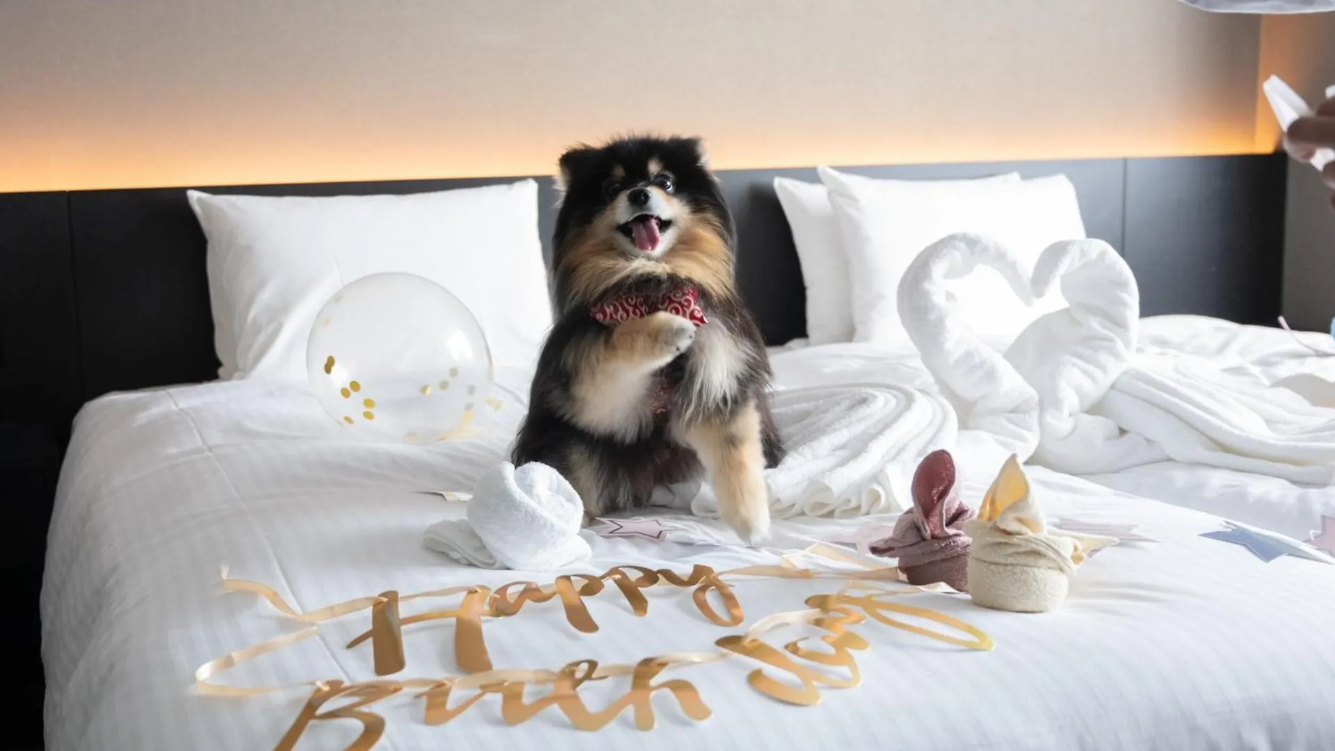 Hotel Anddoggy Kyoto Nijo