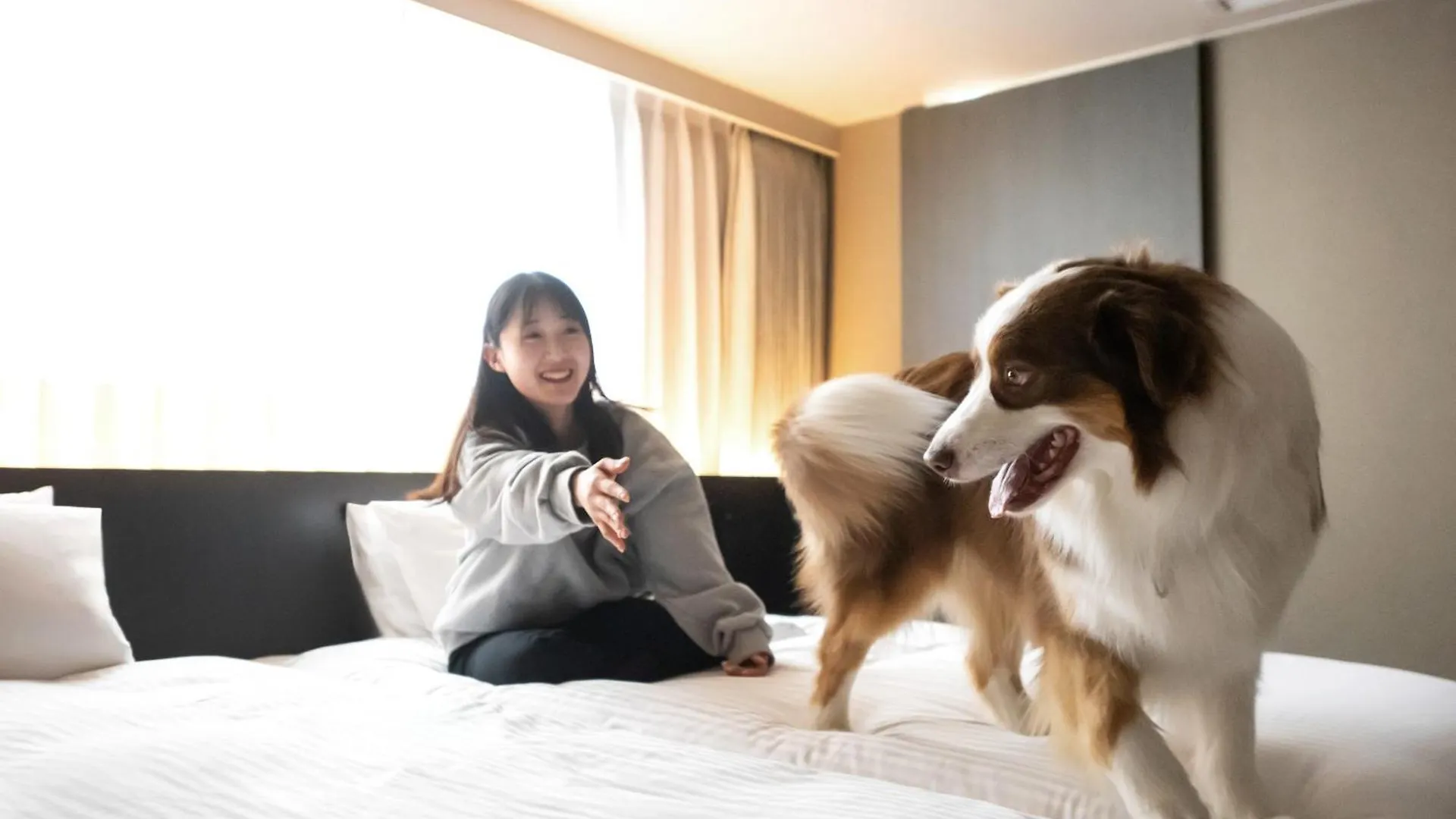 Hotel Anddoggy Kyoto Nijo